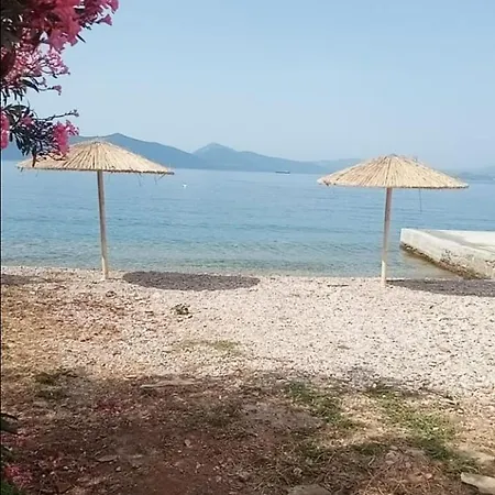 Georgia's * Agia Kiriaki (Magnesia)