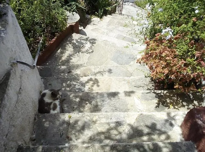 Georgia's Casa vacanze